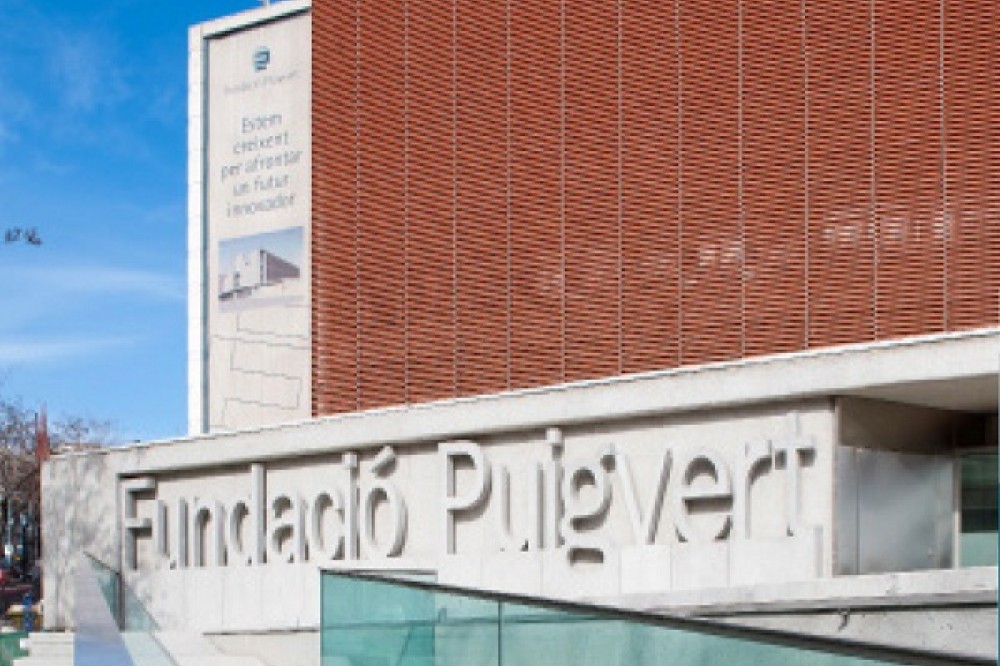 Instituto Fundacio Puigvert